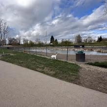 Amity Dog Park photo 1